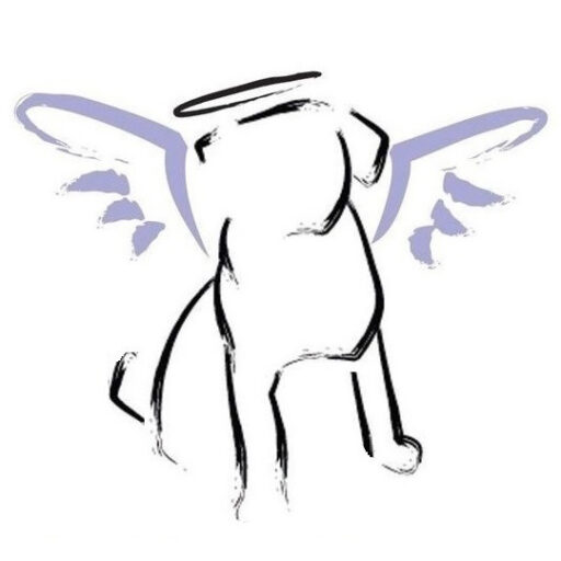 Angeli a 4 Zampe odv